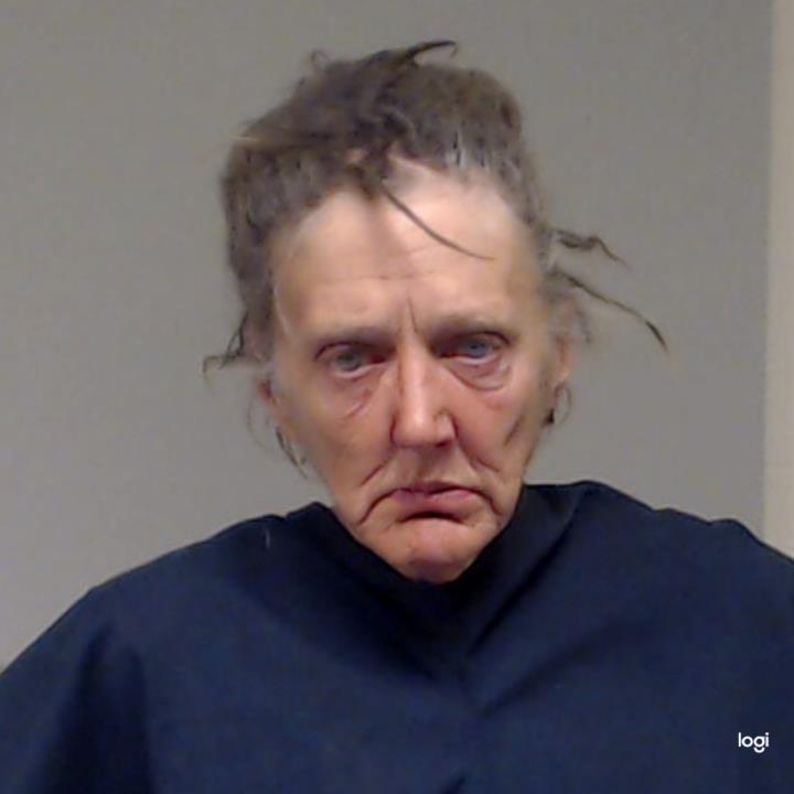 Mullins, Vicki Lynn booking photo