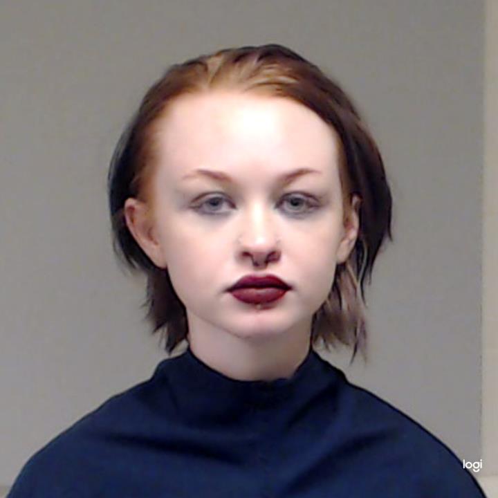 Palmer, Abigail Claire booking photo