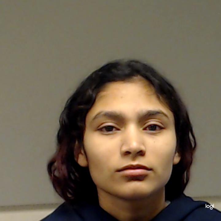 Gomes-Hernandez, Virgina booking photo