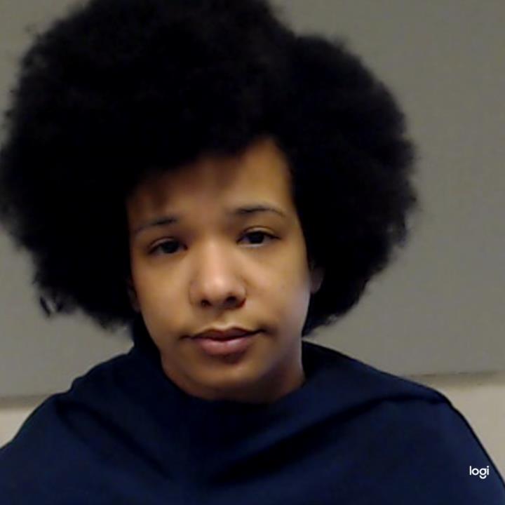 Robin, Jessica Danyelle booking photo