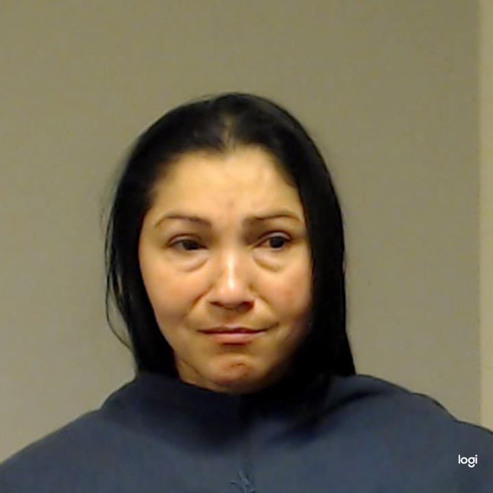 Medina Delgado, Elida booking photo