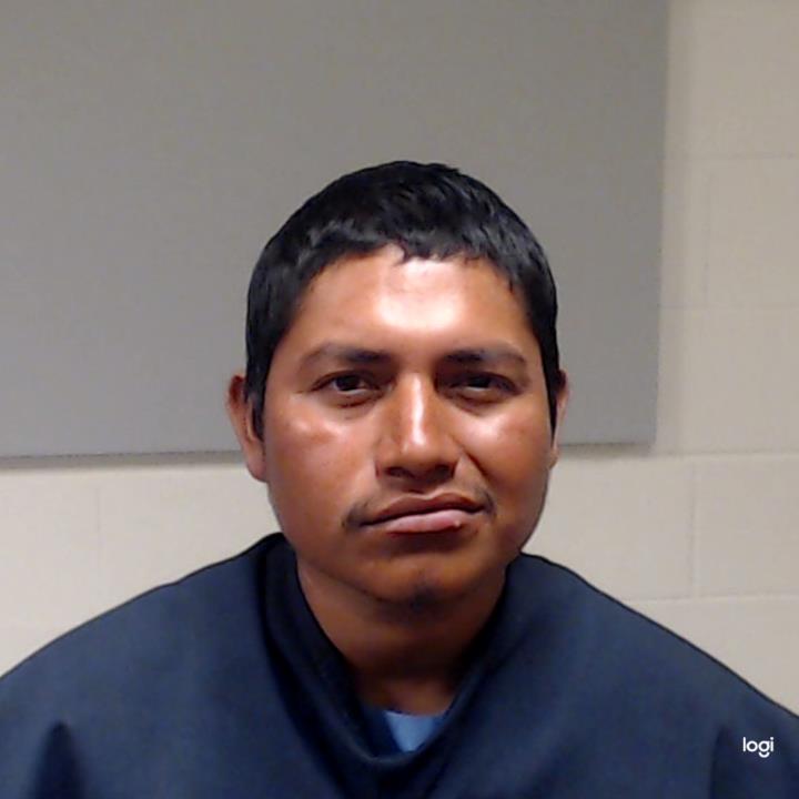 Ararna Martinez, David Anael booking photo