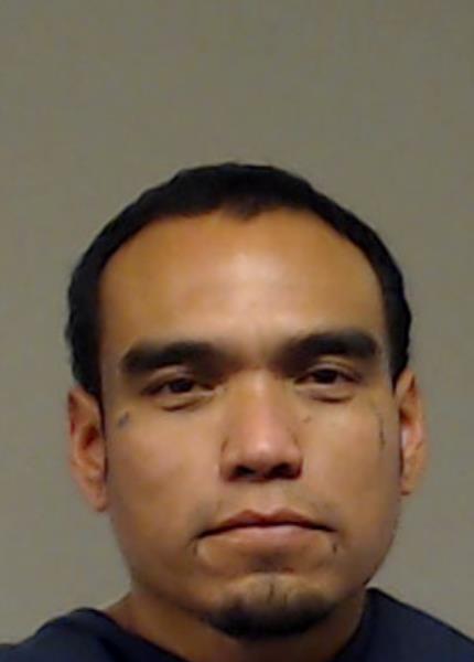 Villegas Torres, David booking photo