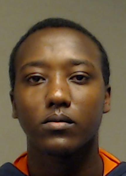 Ivy, Mikaele Graham booking photo