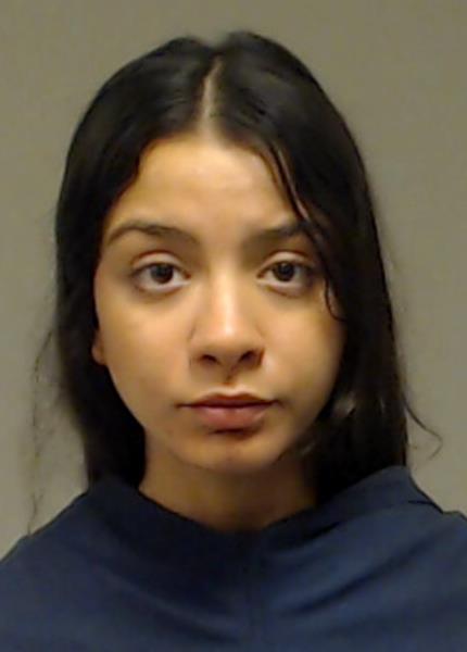 French-Benavides, Alexis booking photo