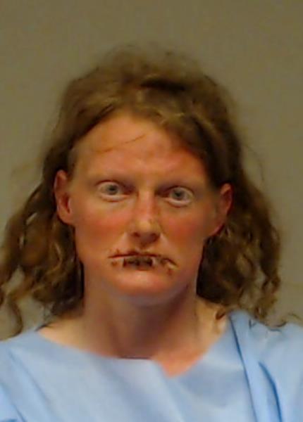 Radke, Heather Michelle booking photo