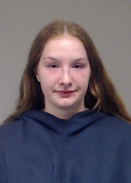 Austin, Chandler Ann booking photo