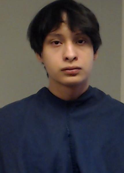 Palomares Alvarez, Edgar booking photo