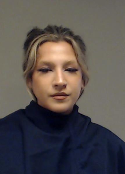 Erwin, Bessilee Carmen arrested by Collin County SO/PD