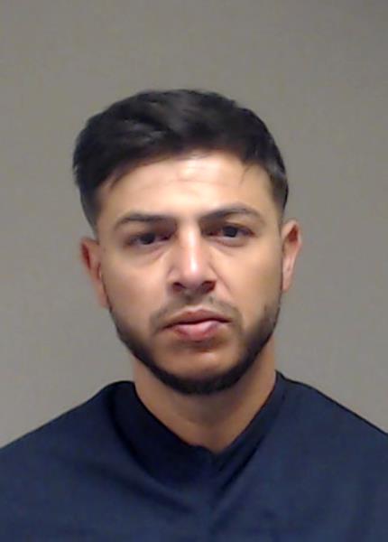 CALIN, FILDES booking photo