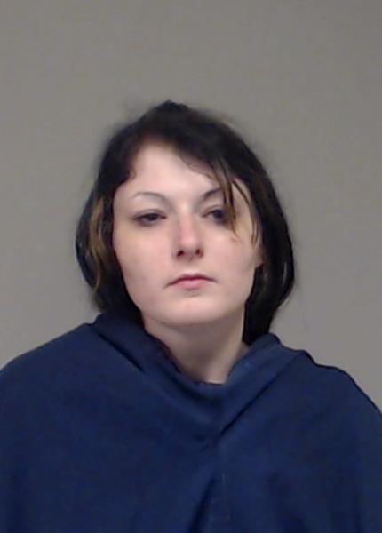 JOHNSON, BRIANNA MICHELLE booking photo