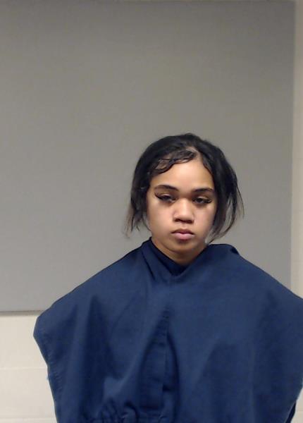 GARICA, MELE VERONICA arrested by Collin County SO/PD