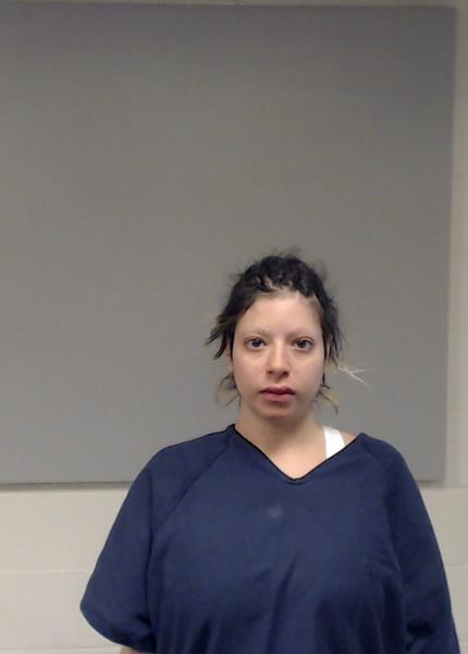 Davodi, Zhaleh arrested by Collin County SO/PD