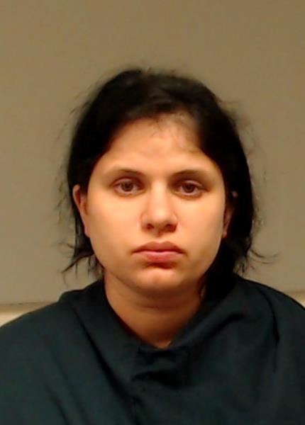 ION, LUIZA booking photo