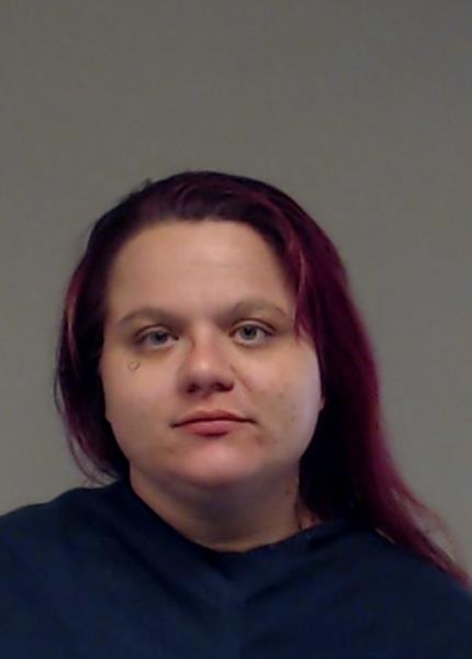 Hodges, Rachel Savannah booking photo