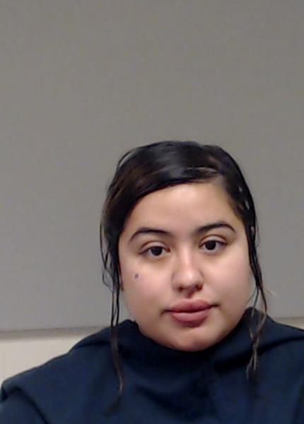 Morales, Elizabeth Alcazar booking photo