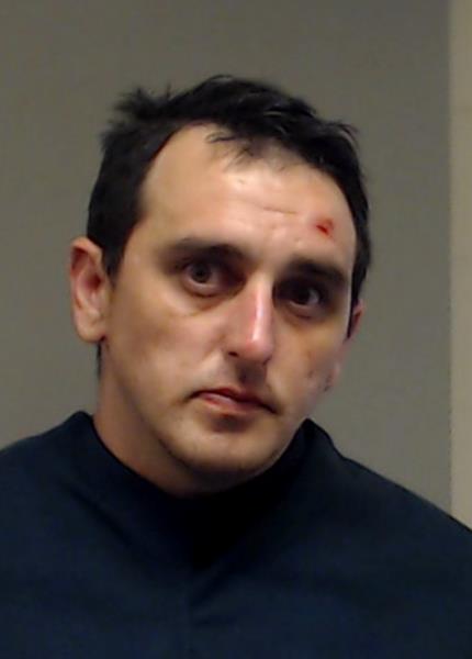 Rollyson, Ray Wayne booking photo