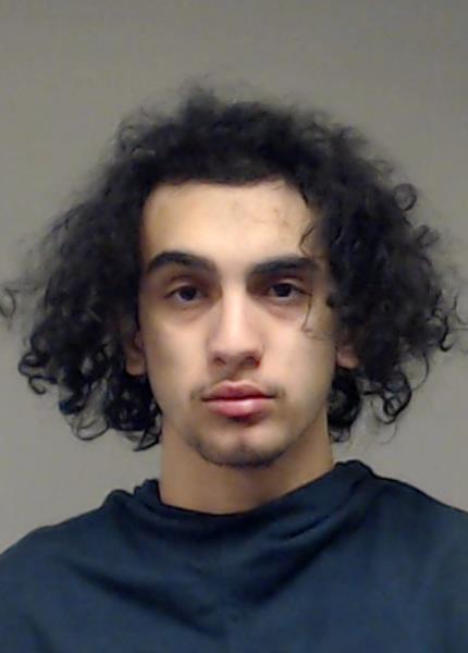 Terzyan, Areg booking photo