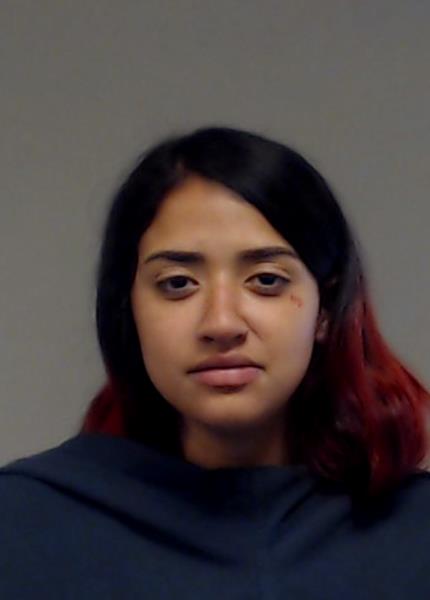 Rodriguez, Luisa Angelica booking photo