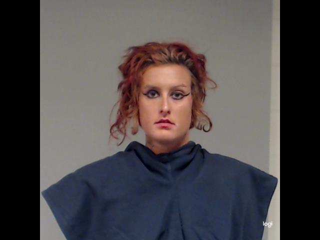 Minisquero, Natalie Ann arrested by Collin County SO/PD