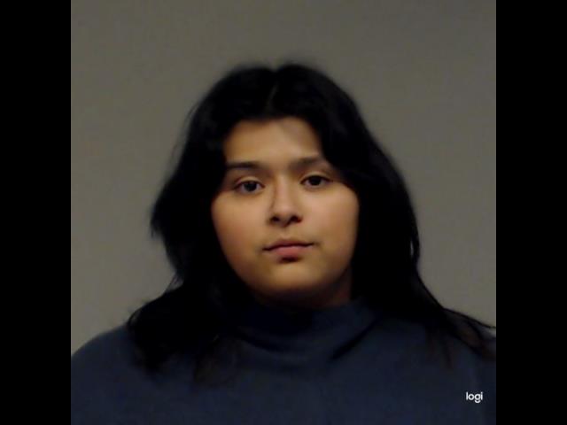 Arreguin, Hillary booking photo