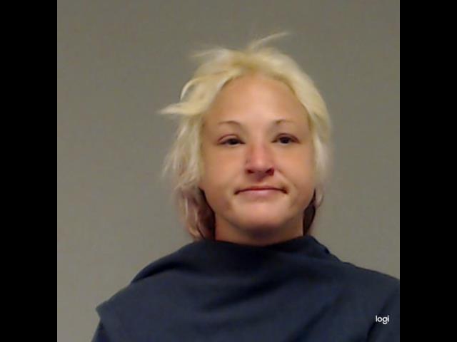 Mitchell, Marissa Krystin booking photo