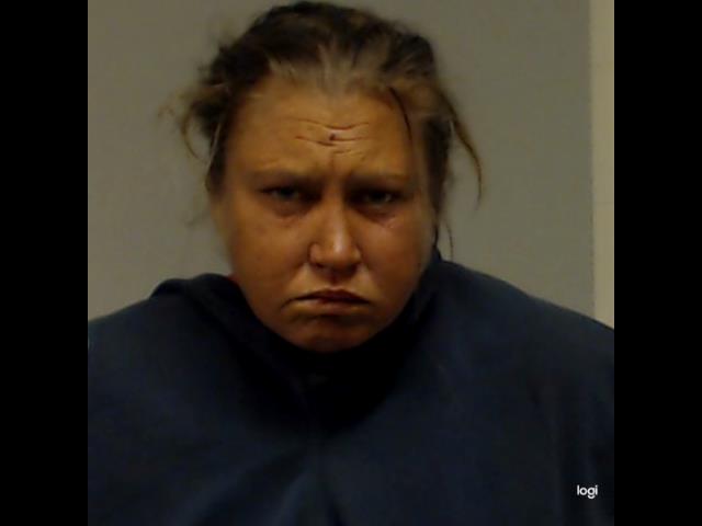 Etheridge, Felicia Katherine arrested by Collin County SO/PD