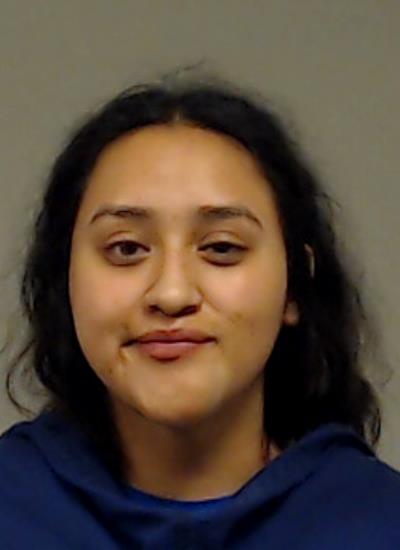 Castro, Elizabeth Estrada arrested by Collin County SO/PD