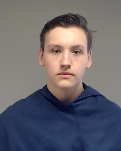 Wood, Andrew Del booking photo