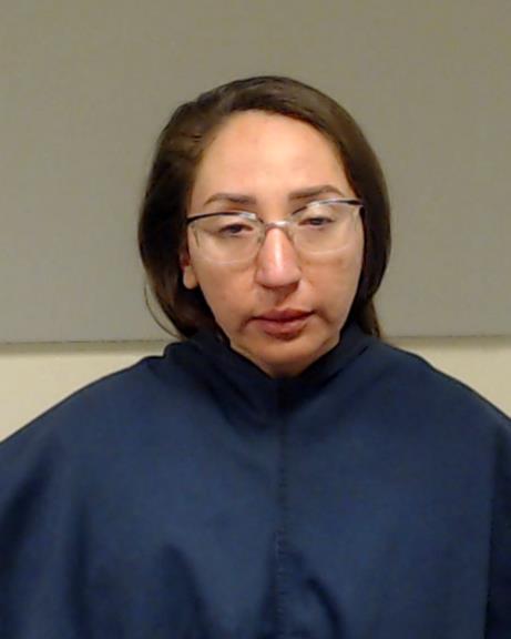 Palacios, Chelsea Ann booking photo