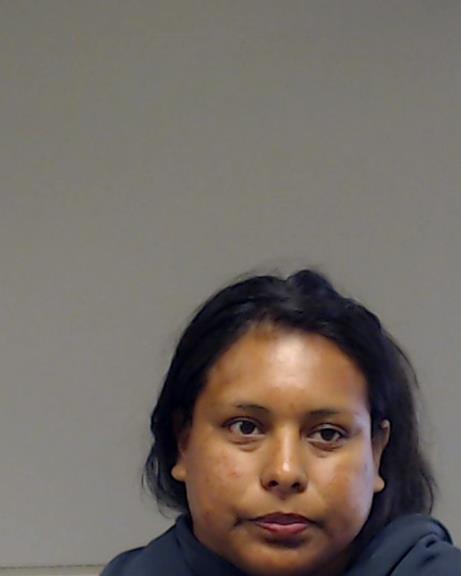 Ramos, Araceli booking photo
