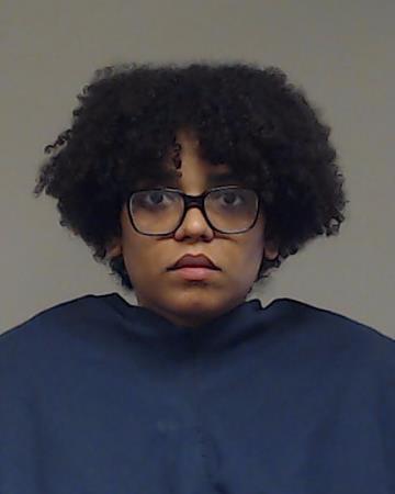 Isidore, Elexys arrested by Collin County SO/PD