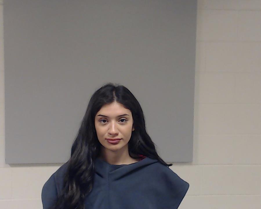 Garza, Lisa Carolyn arrested by Collin County SO/PD