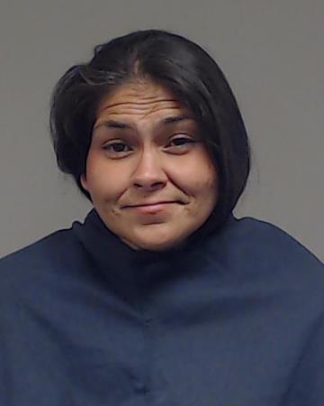 Donnelly, Amanda Leah booking photo