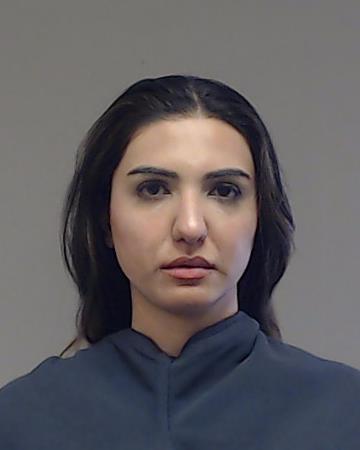 Saleem, Noreen arrested by Collin County SO/PD