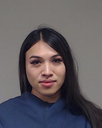 MICH, JULYON arrested by Collin County SO/PD