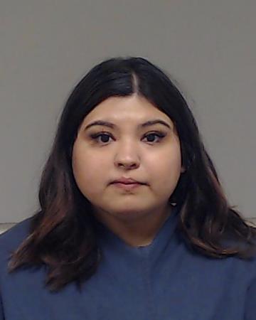 BARRERA, DANA RENEE arrested by Collin County SO/PD