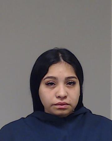 Herrera, Elsy Lauwrimar Ramos arrested by Collin County SO/PD