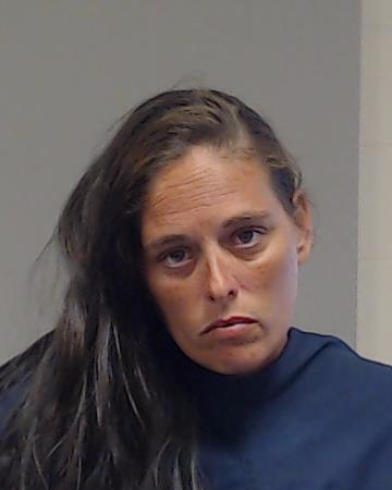 Hood, Heather Nicole arrested by Collin County SO/PD