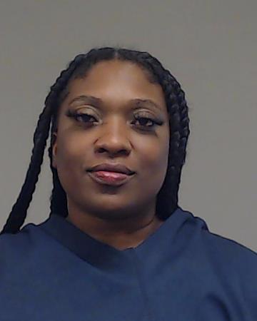 Pontejour, Natasha S arrested by Collin County SO/PD