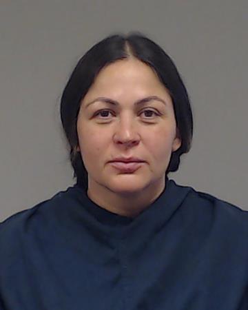 Lee, Misty Joy booking photo