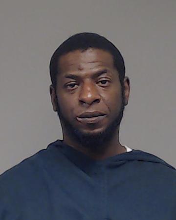 GORINS, SERGEI booking photo