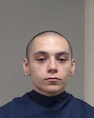 Trevino-Wilmeth, David James booking photo