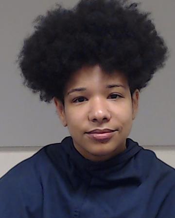 Robin, Jessica Danyelle booking photo