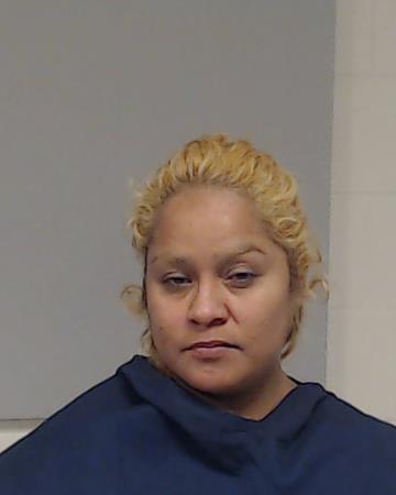 Guerrero Mendoza, Maria Elena booking photo