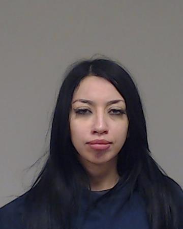 Yanez Rodriguez, Liliana booking photo