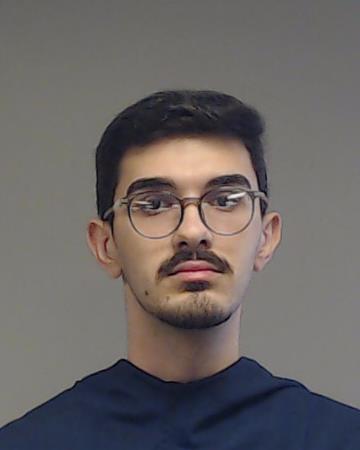 Maaya, David booking photo