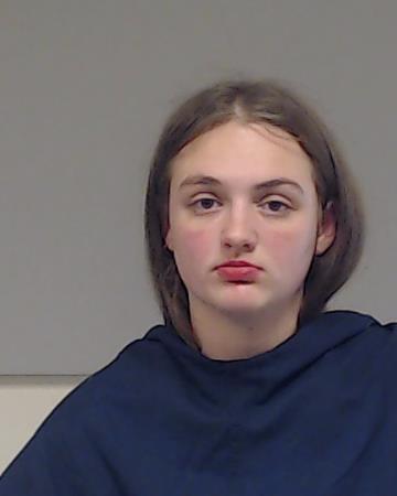 Collett, Erica Leeann booking photo