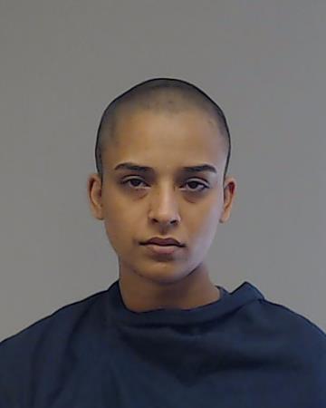 Sharma, Reema arrested by Collin County SO/PD