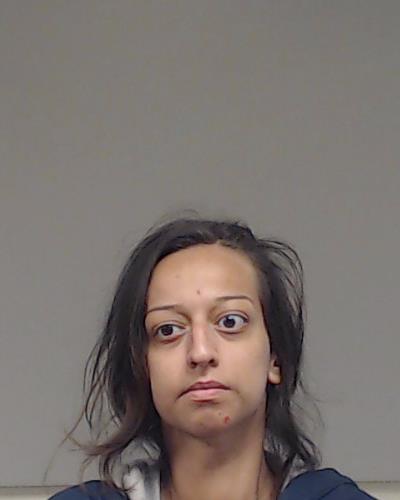 Noyola, Margarita Valdez arrested by Collin County SO/PD